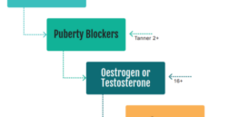 “Evidence for puberty suppression and gender affirming hormones limited’: British doctors group questions early transitions but also opposes blocker ban