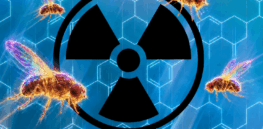 Viewpoint: Why the EPA mismeasures cancer risk of chemicals and what should be done to fix it