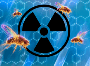 Viewpoint: Why the EPA mismeasures cancer risk of chemicals and what should be done to fix it