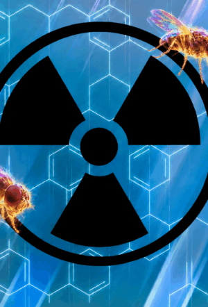 Viewpoint: Why the EPA mismeasures cancer risk of chemicals and what should be done to fix it