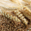 Viewpoint: What happens when whole grains meet modern food manufacturing? Labels don’t tell the whole story.