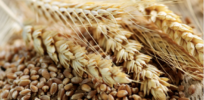 Viewpoint: What happens when whole grains meet modern food manufacturing? Labels don’t tell the whole story.