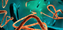 Fake Ebola cure promoters already cashing in as disinformation videos flood social media