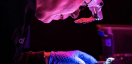Colossal Bio grows chicks in 3D-printed artificial eggs. Breakthrough or copycat technology?