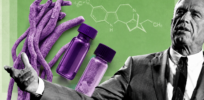 Facts & Fallacies podcast: Psychedelics for PTSD? Examining RFK, Jr's claims about ibogaine