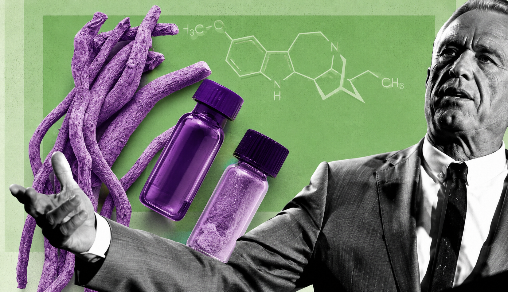 Facts & Fallacies podcast: Psychedelics for PTSD? Examining RFK, Jr’s claims about ibogaine