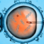 Embryo gene editing is on the horizon, stirring mixed emotions