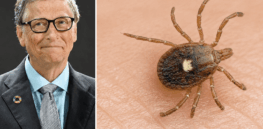 No, Bill Gates did not secretly engineer ticks to promote veganism