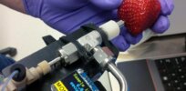 Viewpoint: Which is worse: Trace PFAS ‘forever chemicals’ on strawberries or the fear that scares people away from eating them?