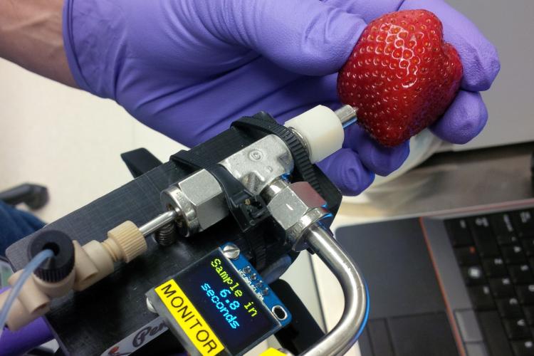 Viewpoint: Which is worse: Trace PFAS ‘forever chemicals' on strawberries or the fear that scares people away from eating them?