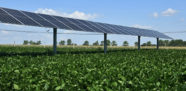 Republican lawmakers spread misinformation claiming solar farms permanently destroy potato farms