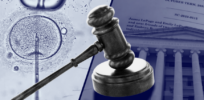 Viewpoint: Embryos are becoming the newest battleground of love, loss, and legal uncertainty