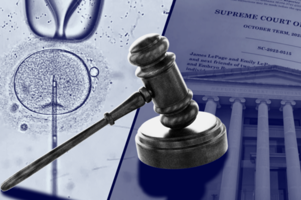 Viewpoint: Embryos are becoming the newest battleground of love, loss, and legal uncertainty