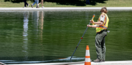 Viewpoint: Trump’s Reflecting Pool algae fiasco points to a bigger culprit: Climate change