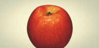 Viewpoint: Why are there no approved bioengineered insect-protected (Bt) apples?