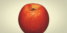 Viewpoint: Why are there no approved bioengineered insect-protected (Bt) apples?