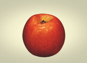 Viewpoint: Why are there no approved bioengineered insect-protected (Bt) apples?