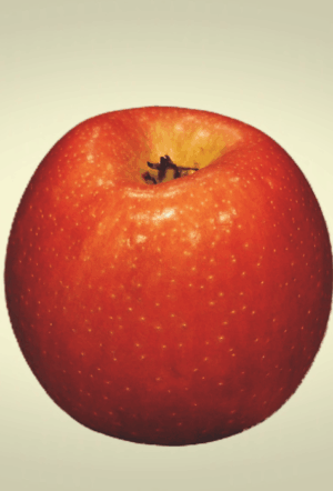 Viewpoint: Why are there no approved bioengineered insect-protected (Bt) apples?