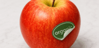 Facts & Fallacies podcast: Organic food myths make a comeback on Instagram, with Dr. Kevin Folta