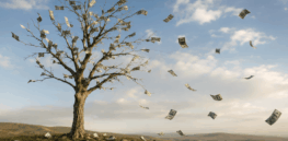 The retreat of environmental extremism: Why activist NGOs are losing favor