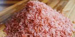 Growing animal muscle and fat cells inside rice grains and calling it beef: One of numerous genetically engineered products shaking up our ecosystem