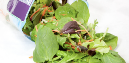Viewpoint: Is bagged salad a dangerous science experiment? Challenging an online misinformation campaign