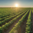 Viewpoint: Are the U.S. and Europe headed towards a repudiation of agricultural biotechnology red tape?