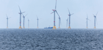 Viewpoint: ‘Misinformation' about the effects of offshore wind turbines on marine life could derail offshore wind farm projects 