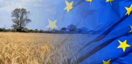 Fact vs misinformation: An official EU guide to GMOs and gene-edited foods