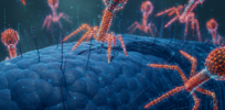 First viruses designed by AI raise hope for new medicines. What could go wrong?