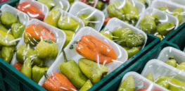 From smart packaging to bio-based coatings, scientists find new ways to reduce food contamination