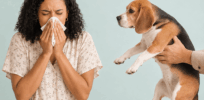 Allergic to dogs? A CRISPR solution may be in the works