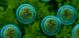 41-state Cyclospora outbreak exposes widespread state-to-state communication failures