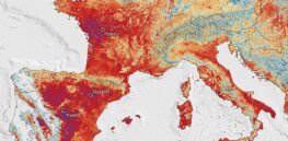 Viewpoint: European farmers struggle in the face of record heat waves