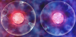Creepy and cool ways cloning may be used on animals and humans