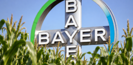 Bayer urges court to approve $7.25 billion Monsanto Roundup settlement that could limit its future liabilities