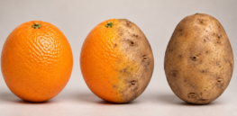CRISPR fine-tuning unlocks vitamin C-rich potatoes without yield loss