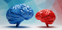 Viewpoint: Why are the less intelligent more likely to be conservative—and smarter people more socially liberal?