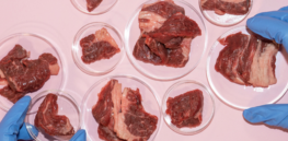 A meaty problem: How to make cell-grown protein taste like steak, chicken, and seafood