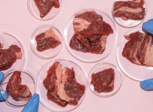 A meaty problem: How to make cell-grown protein taste like steak, chicken, and seafood