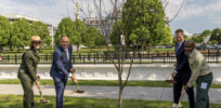Newly approved GMO chestnut trees planted across from the White House are stirring debate