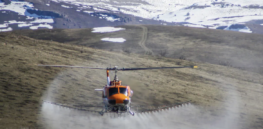 Viewpoint: How to ecologically damage America’s forests: Ban glyphosate