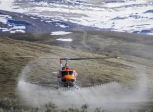 Viewpoint: How to ecologically damage America’s forests: Ban glyphosate