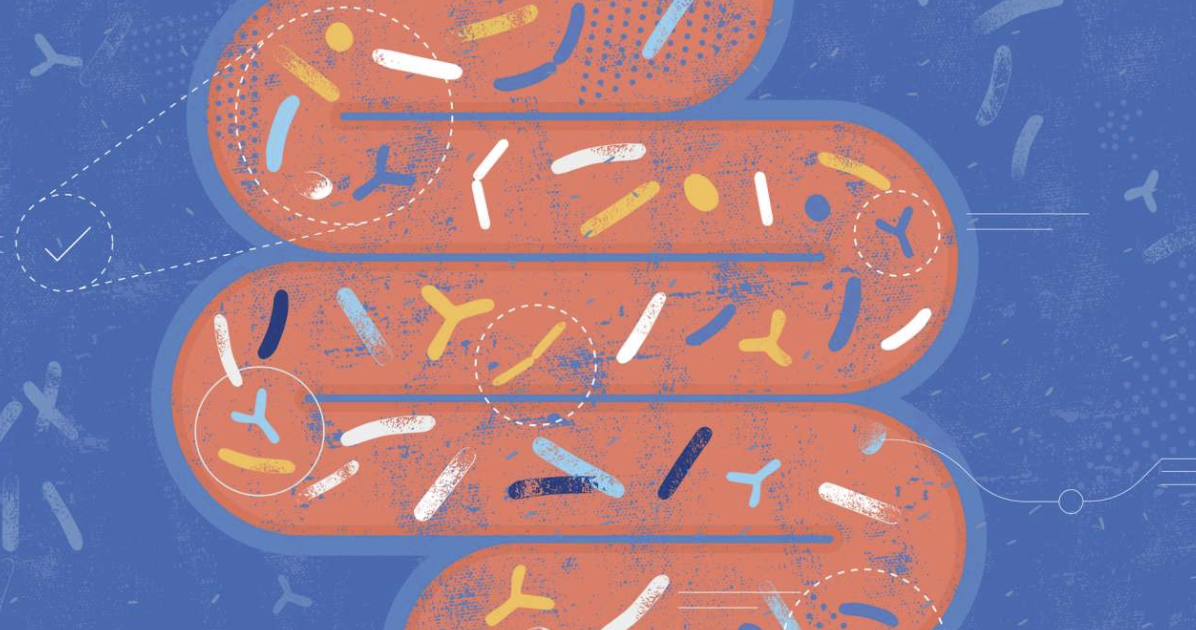 ‘They misunderstand science’: Research attempting to tie autism to changes in the gut microbiome comes under fire