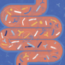 ‘They misunderstand science’: Research attempting to tie autism to changes in the gut microbiome comes under fire