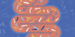 ‘They misunderstand science’: Research attempting to tie autism to changes in the gut microbiome comes under fire