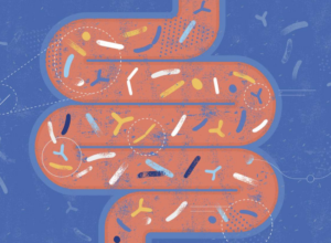 ‘They misunderstand science’: Research attempting to tie autism to changes in the gut microbiome comes under fire