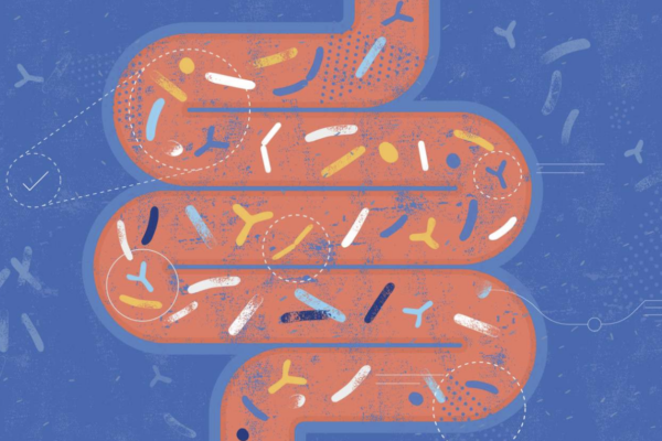 ‘They misunderstand science’: Research attempting to tie autism to changes in the gut microbiome comes under fire