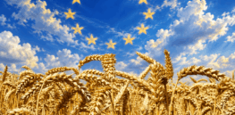 Viewpoint: ‘Bureaucratic and economic obstacles’ to agricultural biotechnology: Europe creeps into the 21st century, but blocks remain