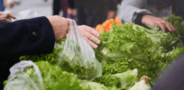 Scaremongering or legitimate safety concerns? The political dogfight over America’s food safety system